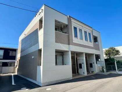 トレニアの画像