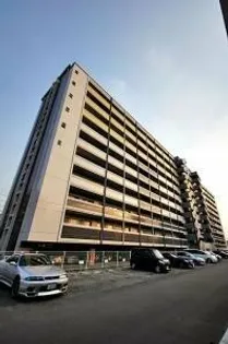 NO 82 EMPRESSの画像