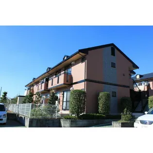 ラディッシュタウン昭山G棟【203号室】の外観