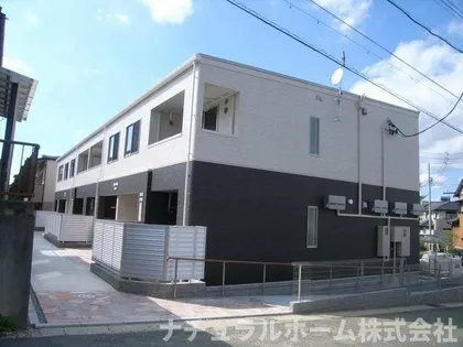 フェリオの画像