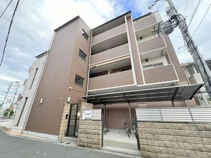 プラム サンの画像