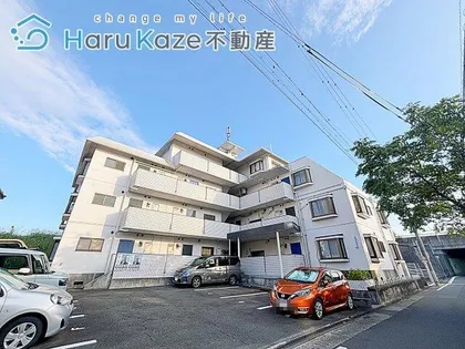 ジュネス青山の画像