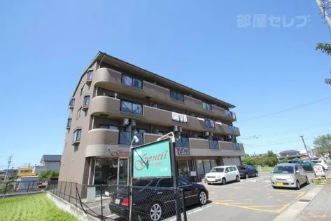 ウィズネスの画像