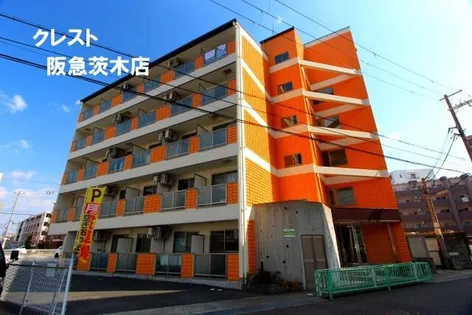 ドマーニの画像