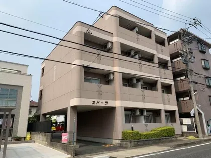 カドーラの画像
