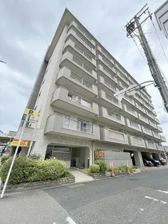 大阪府大阪市淀川区西中島2丁目【マンション】の外観