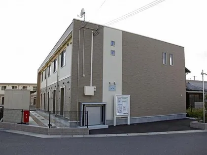 レオネクスト花水木の画像