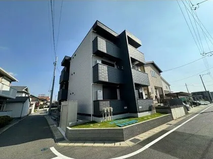 PILLARSYOの画像