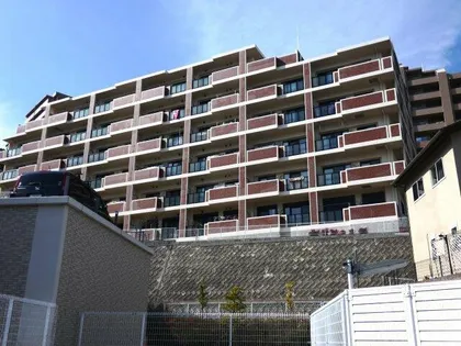 ベルフィオーレの画像