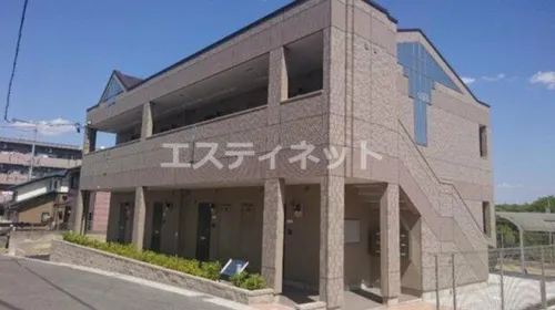 ステラエクシードの画像