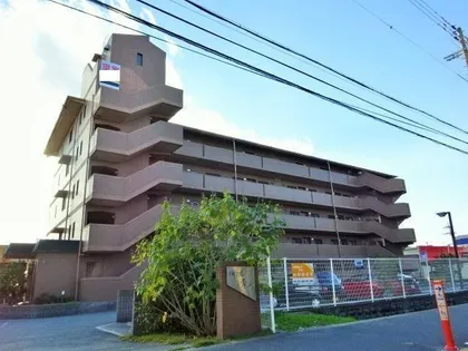 ロイヤルグレースの画像