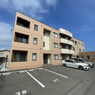 キャメルハウスの画像