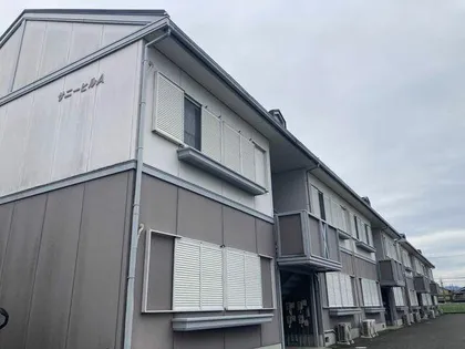 サニーヒルの画像