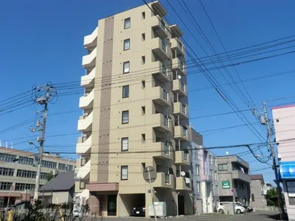 カハラコートセカンドの画像