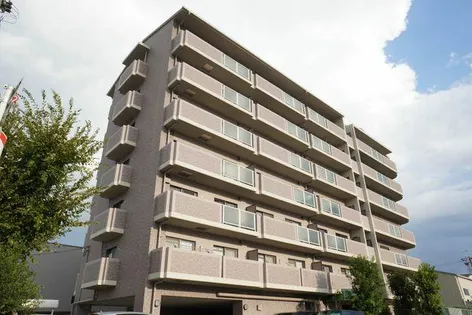 メディオグリシーナFの画像