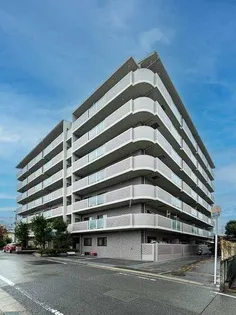 メディオグリシーナFの画像