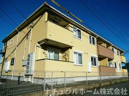 ブルック 菅池の画像