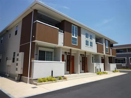 パイン グローブの画像