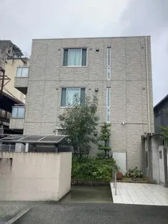 MS SHAMAISONの画像