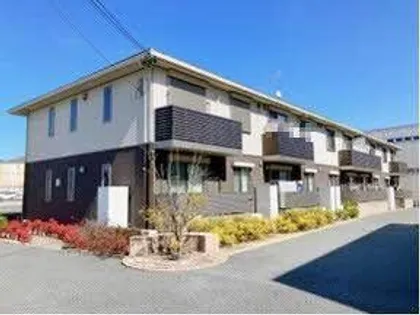 シュシュ しらかしの画像