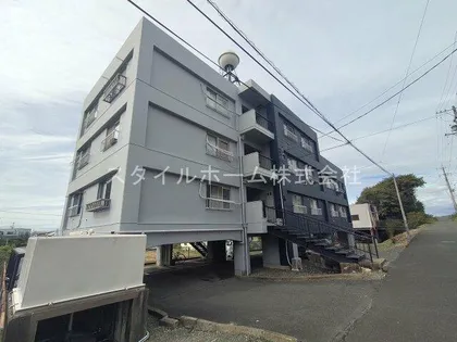 高洲ハイツの画像