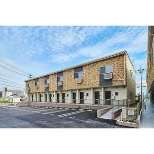 アベリアの画像