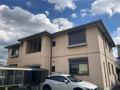 フェリシティーB Dの画像