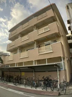 ビギンハイツB棟【4階】の外観