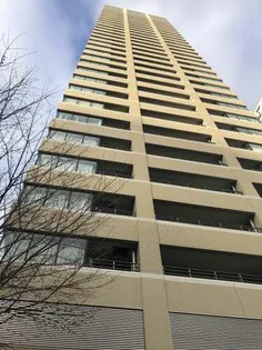 マストタワー安堂寺の画像