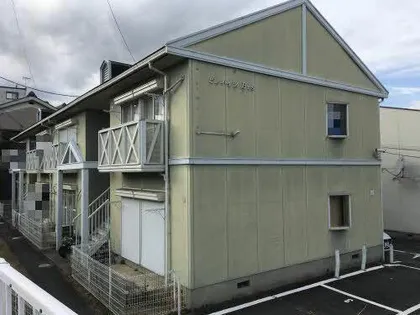 ピノハイツビス【0203号室】の外観