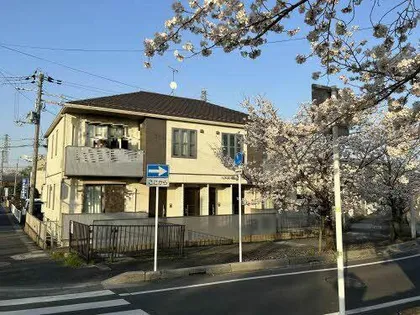 グランチェリーの画像