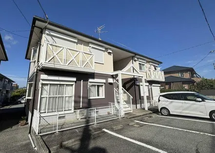 ハイツカンファーツリーの画像