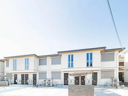 サワーソレアードBの画像