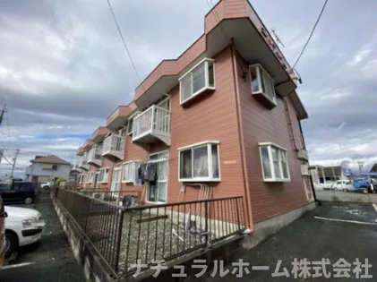 エルディム藤の画像
