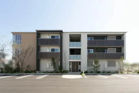 シャーメゾン向日葵の画像