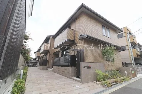 ダンデライオンの画像