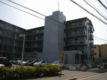 コート ザ ルピナスの画像