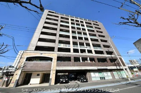 フェルトの画像