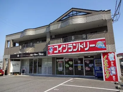 ミレムの画像