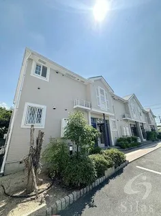 ビバ ユズの画像