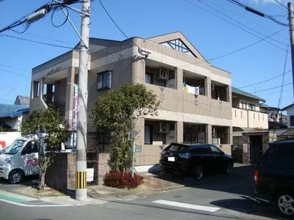 サン レインの画像