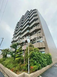 ソシアシューペリアの画像