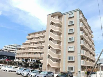 プラシード カーサの画像