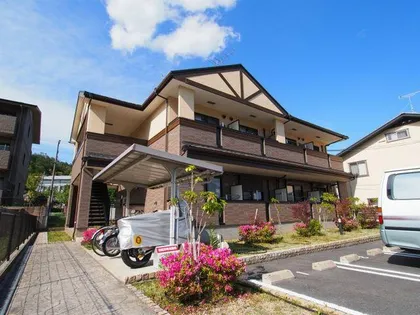 アライブ キノの画像