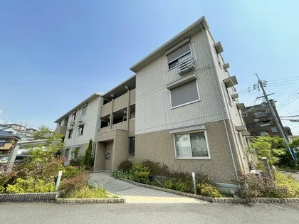 ピサ リオアリバの画像