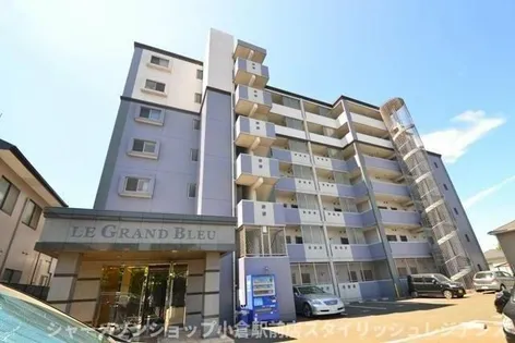 LE GRAND BLEUの画像