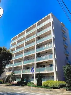 COURT MIDIの画像