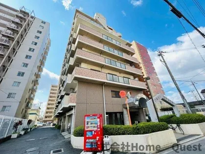 友井グレイスの画像