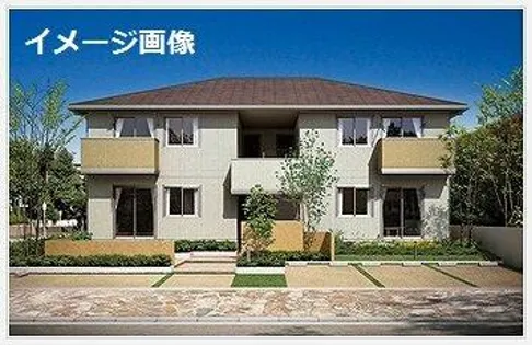 アムール シェモアの画像