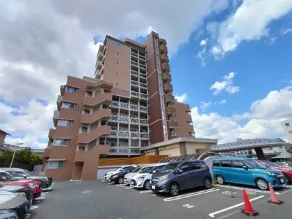 ファミール守恒の画像